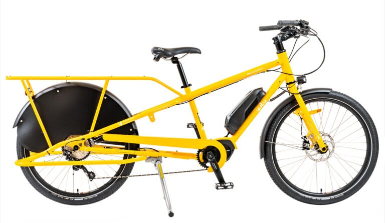 Electric Cargo Bike