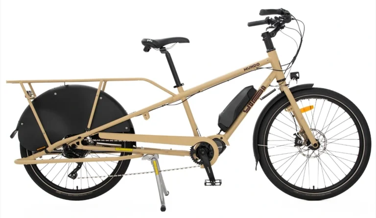 Electric Cargo Bike